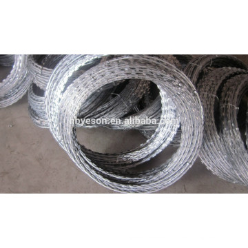 hot dipped galvanized concertina cross razor wire